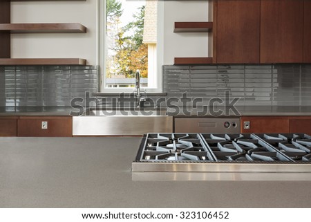 Modern kitchen gas range with cabinets and sink