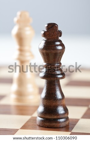 Two kings - black and white chess figures on chess board