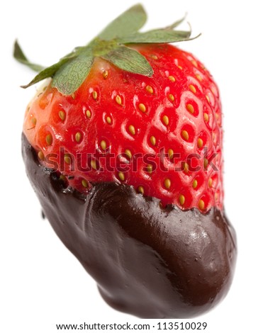 Fresh ripe red strawberry coatd in melted brown chocolate isolated on white