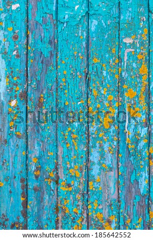Blue painted wood background texture with weathered flaking paint and colorful yellow lichen on parallel upright planks