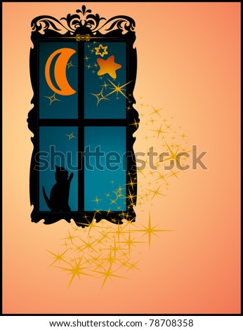 Night, window and cat