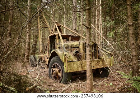 WALDRON ISLAND, USA - MAY 25, 2014: An environmental view of an old trash hauler truck that is slowly rusting away in a new growth forest.