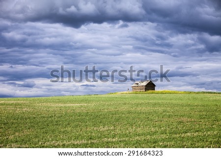 A small farm outbuilding in the middle of a grain field sits on top of one of the rolling hills in the Palouse area of Eastern Washington.