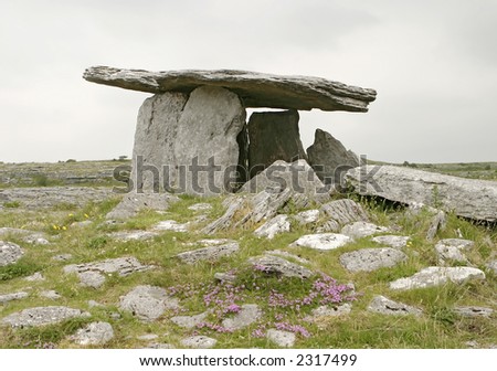 The stone table at Poulnabroun is an ancient Celtic relic. The tomb or dolmen is built from enormous slabs of rock. On this overcast and gloomy day, it loomed over a small group of flowers.