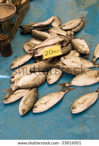 A number of small fish, freshly caught, for sale at 20 kuna per kilo at a fish market in Split, Croatia