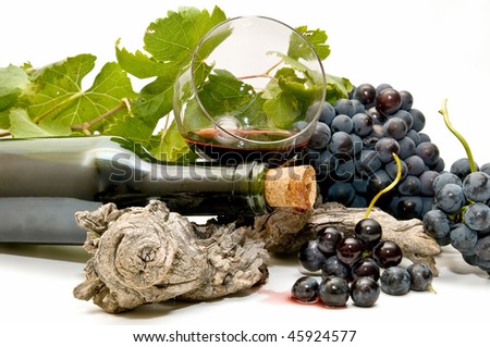 fine wine leaning against a tree and decorated with grape leaves
