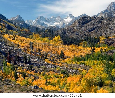 Eastern Sierras in the Fall. Aspendall; northwest of Bishop, California
