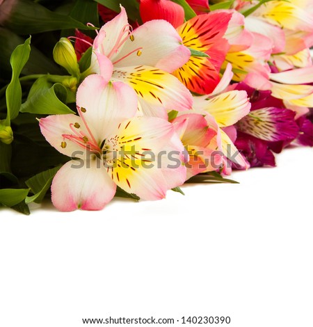 Bouquet of fresh lilies isolated on white background