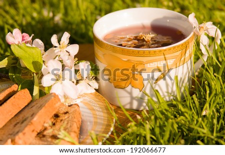 bread on plate, cup of tea on the grass background