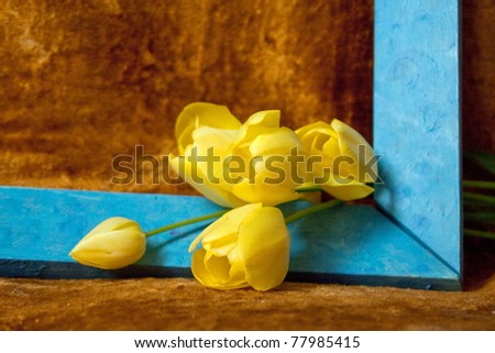 A yellow tulips and a blue frame on a golden background/A yellow tulips and a blue frame