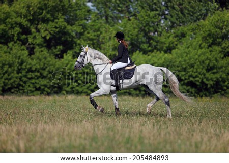 Teenage girl riding her horse in English style riding attire and saddle on a sunny day