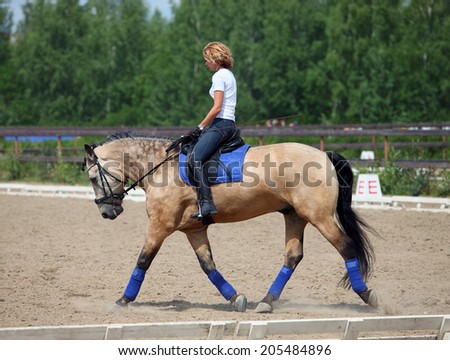Rider riding out on back of a Haflinger horse