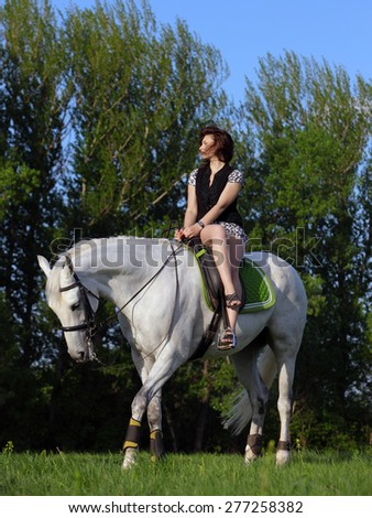 Elegant woman riding on a white horse in summer field