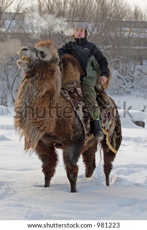 stock photo Russian camel trophy