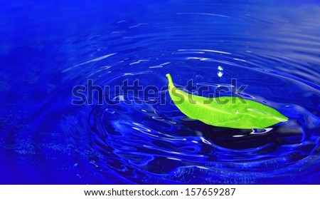 Circles and green leaf with splashes on the water
