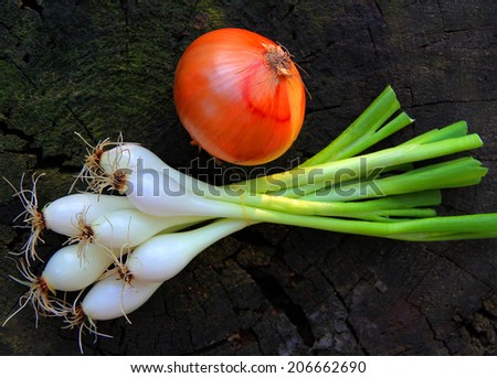 Assorted farm fresh onions on a  wooden table with spring onions, brown onions, overhead view