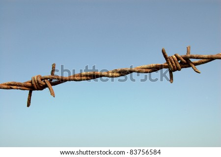 Barbed Wire Detail Against Blue Sky Close-up of two barbs on a barbed wire fence, taken against a blue sky.