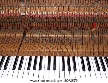 Inside the piano: keys, strings, pins and hammers