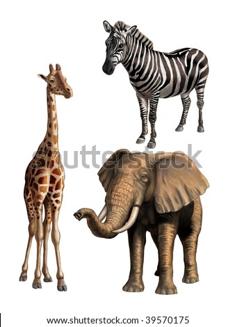 each shape funny giraffe