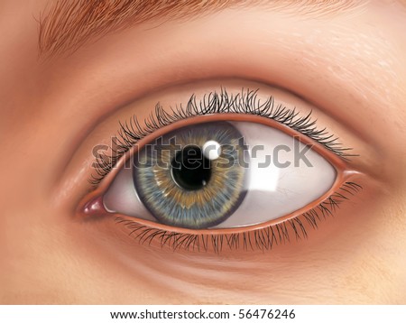 External view of an healthy human eye. Digital illustration.