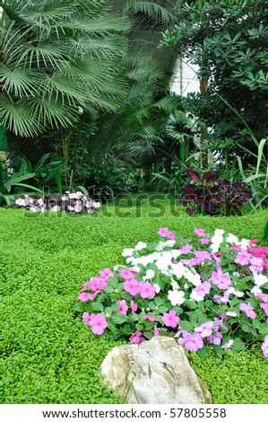 Tropic grass with round leaves, flowers and stone. Palm trees on background