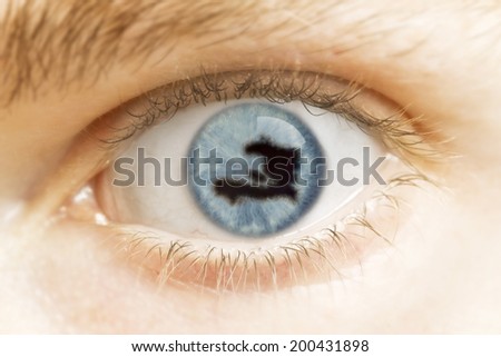 A close-up of an eye with the pupil in the shape of Haiti.(series)