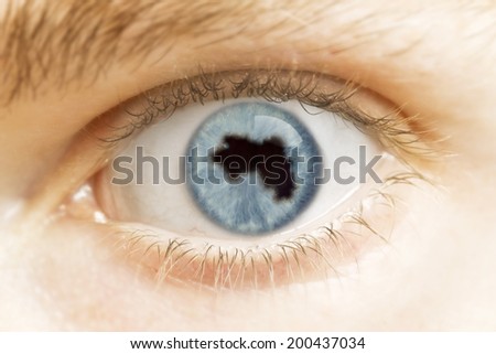 A close-up of an eye with the pupil in the shape of Guinea.(series)
