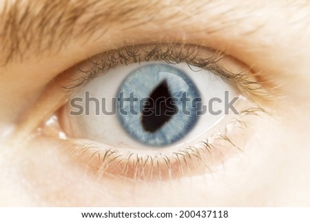 A close-up of an eye with the pupil in the shape of Djibouti.(series)
