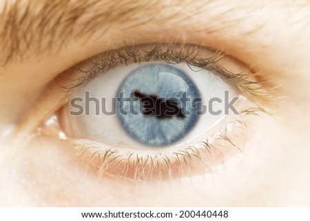 A close-up of an eye with the pupil in the shape of Georgia.(series)