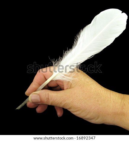 Swan feather traditional writing instrument in hand