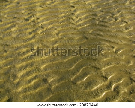 Waves in wet sand caused by gravity fom the moon
