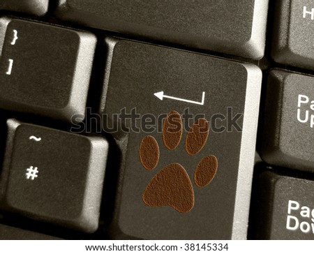 Animal paw sign on enter key   press.