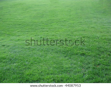 Sports field with well maintained grass perfect for soccer world cup.