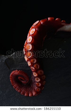 tentacles of octopus