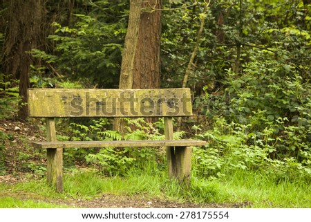 Old bench found during a walk in the woods in buckinghamshire
