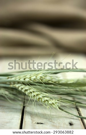 Dried wheat and straw on a rustic looking surface.