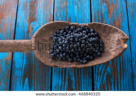 Natural Science Blueberries Illustrations Natural Science Blueberries Illustrations