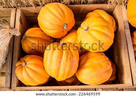 Harvested pumpkins for sale apt a country produce stand.