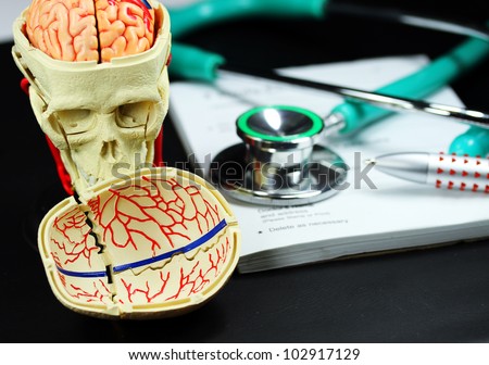 A doctorÃ¢Â?Â?s desk showing a green stethoscope and pen, resting on a sick certificate pad, with the other doctors tools of the trade on desk including a model of a human skull, with the brain exposed.