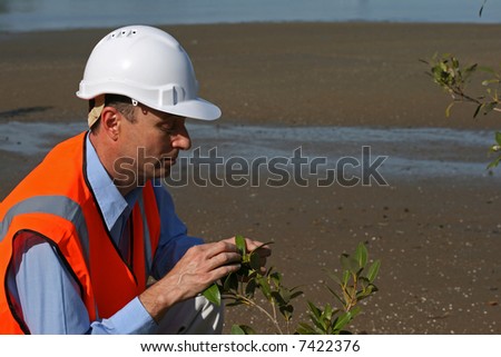 Environmental engineer examining a beach area wearing a white safety helmet and orange high visibility vest on the mud flats