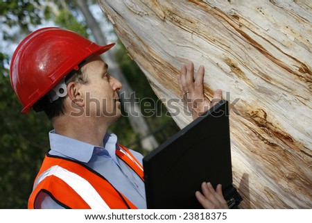 Environmental engineer with laptop and wearing safety helmet and high visibility vest examining the bark of a paperbark tree for infestations
