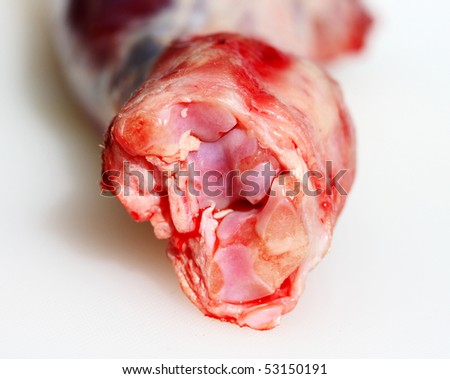 The end of a lamb shank showing the cut exposed bone cartilage, tendons and flesh.