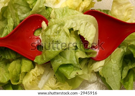 leaf salad with red salad spoons