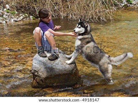 young girl and beautiful husky dog in a brook, creek
