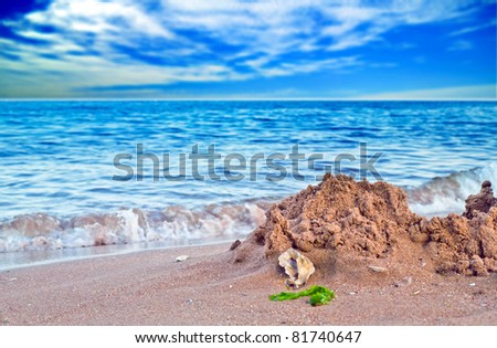 Shell on seashore under blue sky and white cloud
