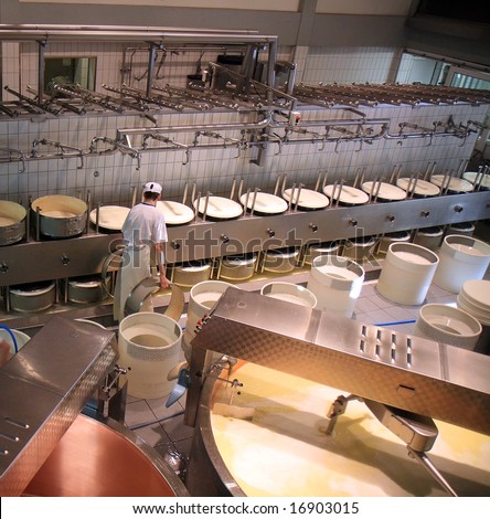 A dairy plant in Switzerland processing fresh milk into cheese.