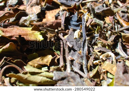Dry white tea leaves