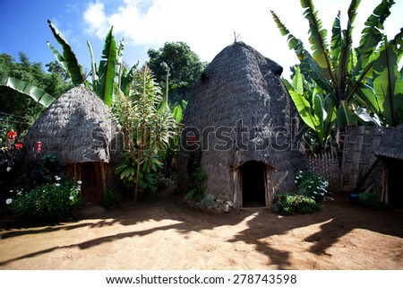 Huts of the tribe Dorze, near Arba Minch. Africa - South Ethiopia. Photot taken 19.12.2009