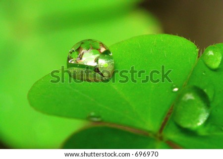 very narrow focus on the raindrop--great shot for environment protect theme