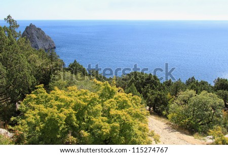 Southern landscape with the sea